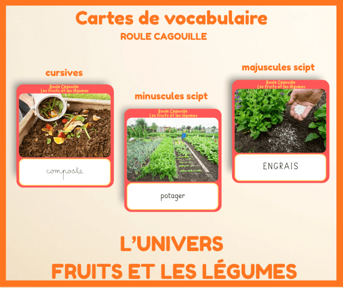 PDF - Cartes des vocabulaire l'univers des fruits et des légumes