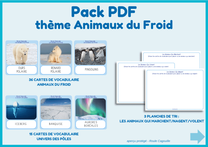 PDF – Pack “Animaux du froid” | 50 pages d’activités  dès 3 ans
