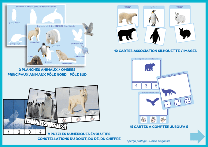 PDF – Pack “Animaux du froid” | 50 pages d’activités  dès 3 ans