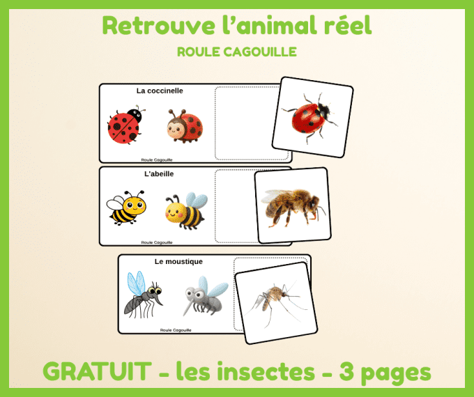 PDF - Retrouve l'animal réel