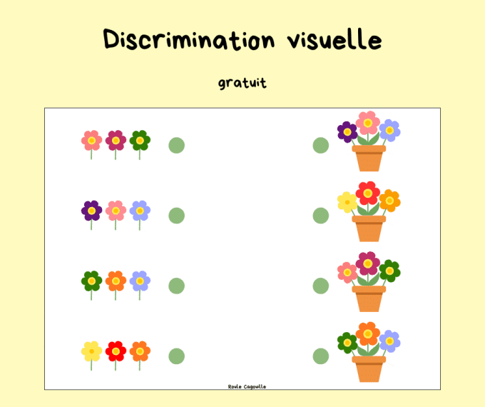 Discrimination visuelle - fleurs -