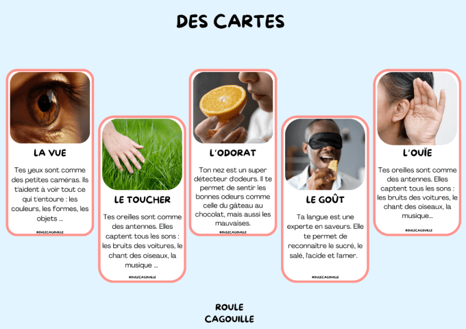 Les 5 sens