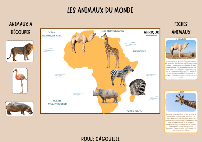 Les animaux du monde