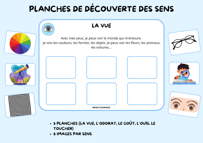 Les 5 sens