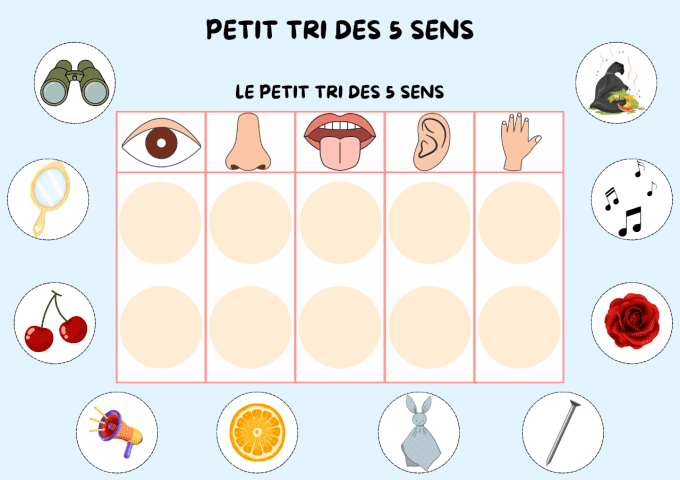 Les 5 sens