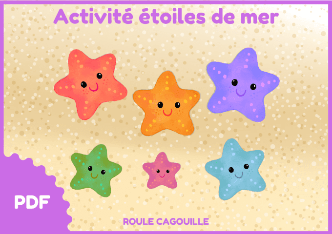 Activité étoile de mer
