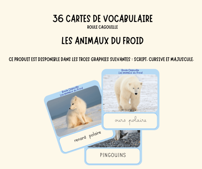Cartes de nomenclature : Les animaux du froid