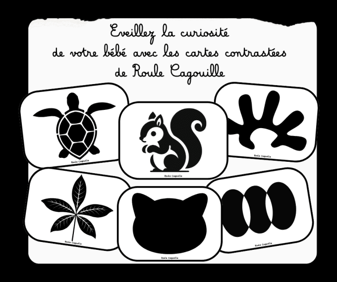 cartes contrastées pour bébés