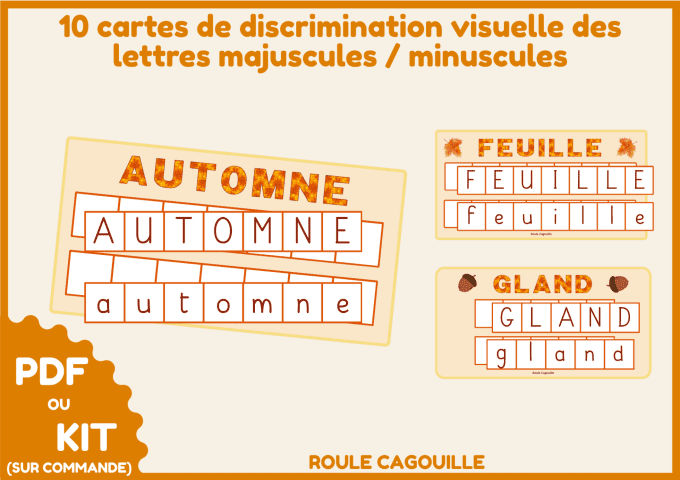 PDF Discrimination visuelle des lettres - Majuscules et minuscules scriptes
