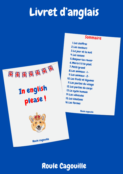 In english, please !