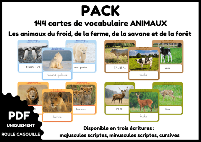 Pack 144 cartes animaux