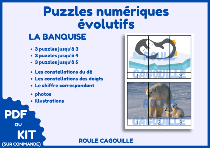 Puzzles numériques la banquise