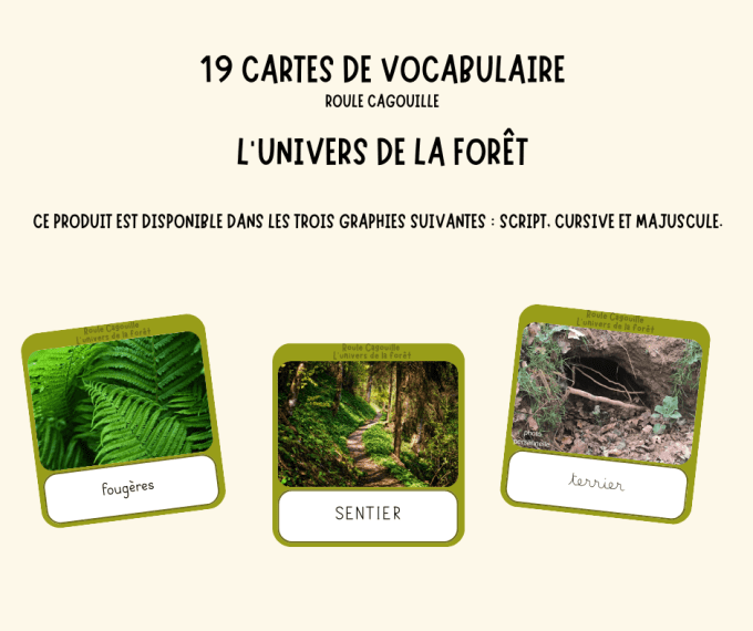 cartes de vocabulaire :  l'univers de la forêt