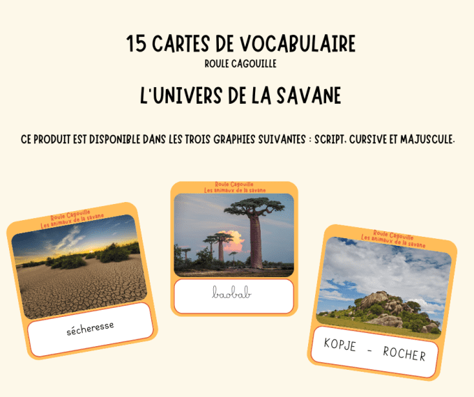 cartes de vocabulaire : l'univers de la savane