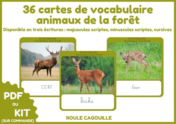 Les animaux de la forêt