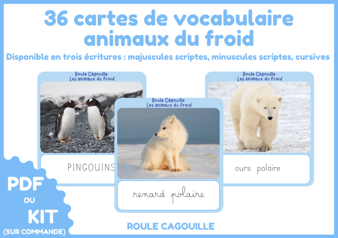 Les animaux du froid
