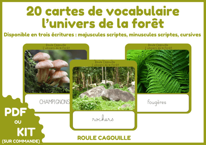 l'univers de la forêt