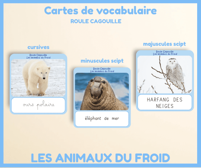 PDF - Cartes de vocabulaire les animaux du froid