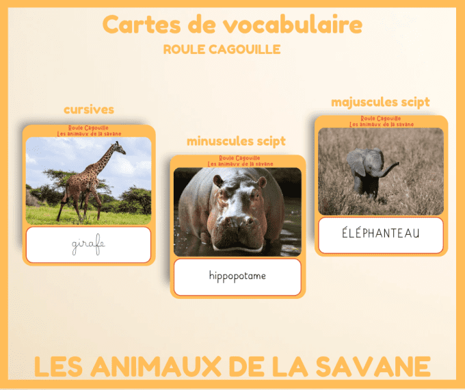 PDF - Cartes de vocabulare les animaux de la savane