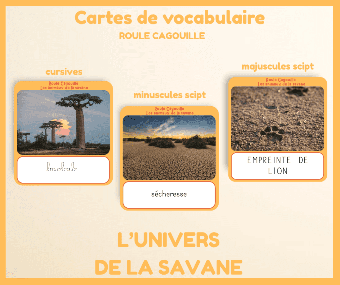 PDF - Cartes de vocabulaire univers de la savane