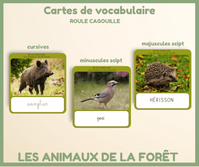 PDF - Cartes de vocabulaire des animaux de la forêt 