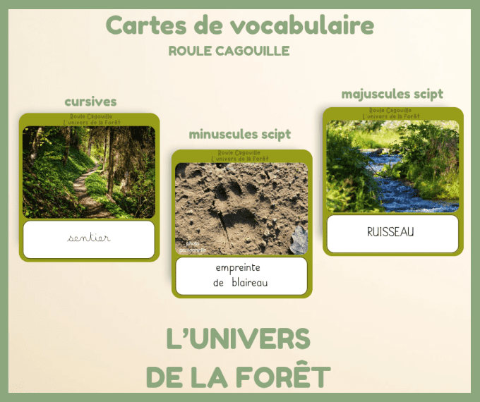 PDF - Cartes de vocabulaire univers de la forêt 