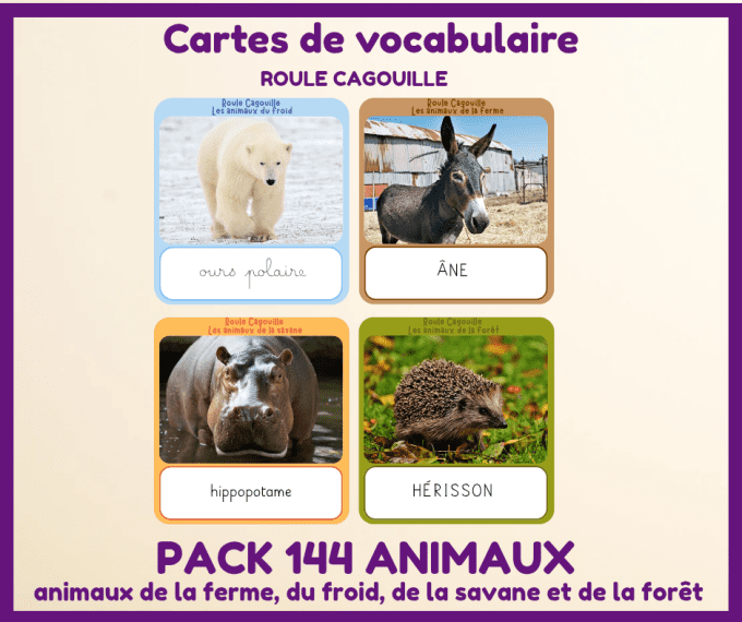 PDF - pack cartes de vocabulaire des animaux : du froid, de la savane, de la forêt et de la ferme